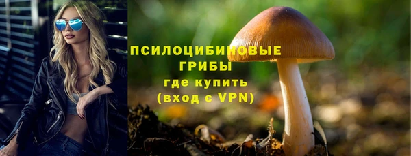 ПСИЛОЦИБИНОВЫЕ ГРИБЫ Магадан