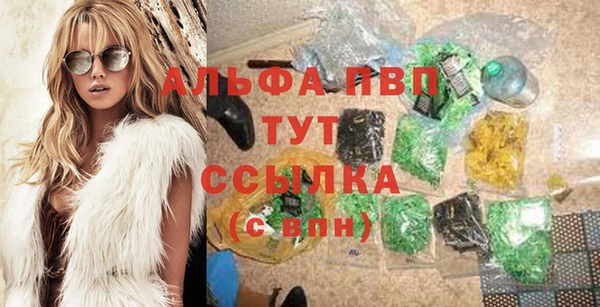 шишки Магас