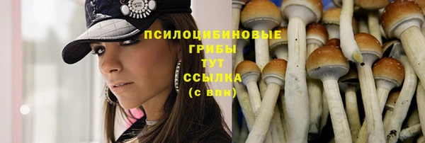 молекула духа Алзамай