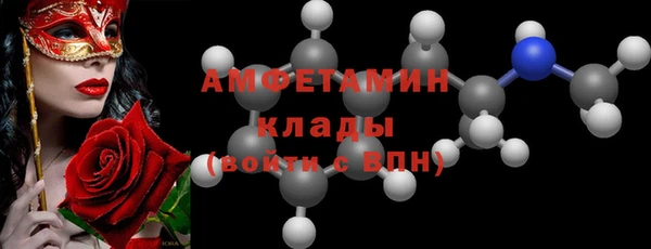 шишки Магас