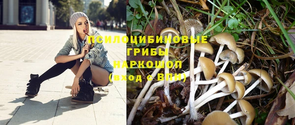 молекула духа Алзамай