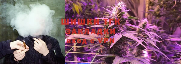 PSILOCYBIN Алексеевка