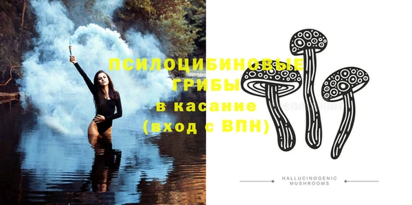 ПСИЛОЦИБИНОВЫЕ ГРИБЫ Магадан