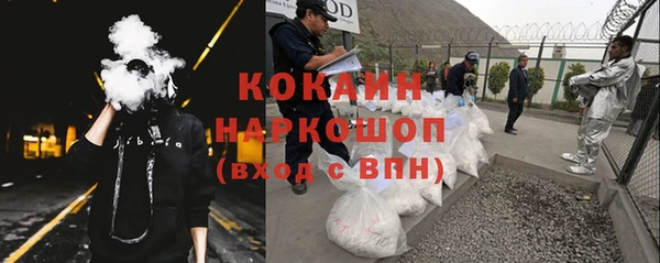 молекула духа Алзамай