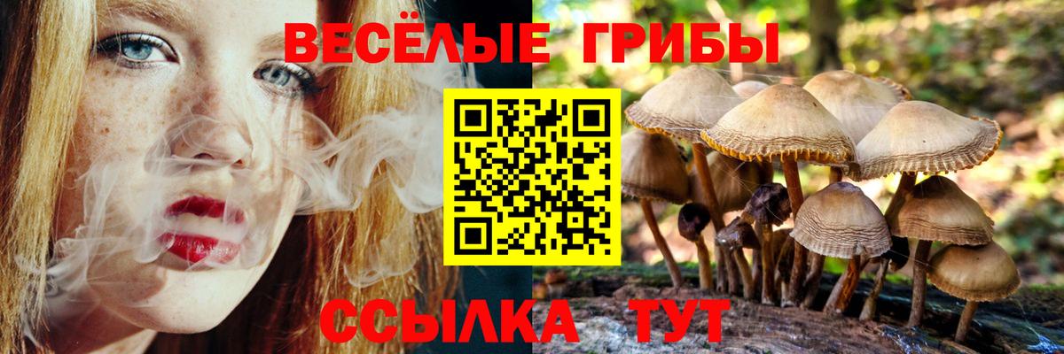 Псилоцибиновые грибы Magic Shrooms Омск