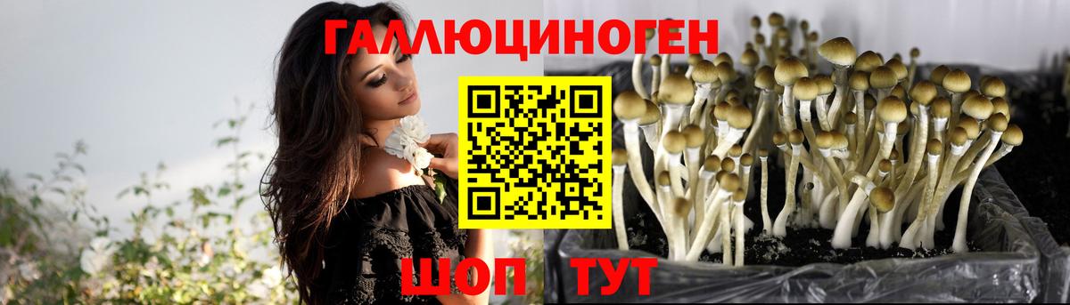 Галлюциногенные грибы мухоморы Омск